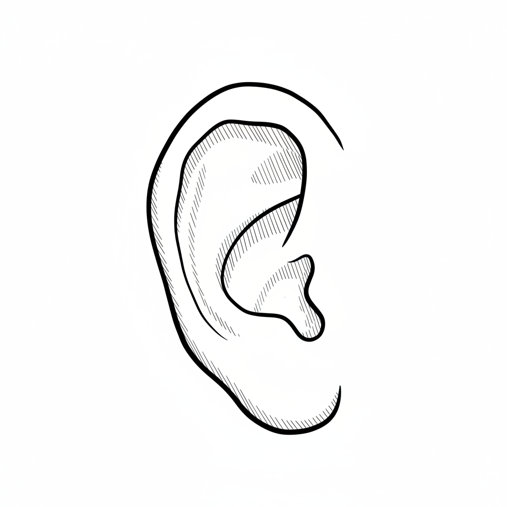 how to draw a ear. Activities for Kids.