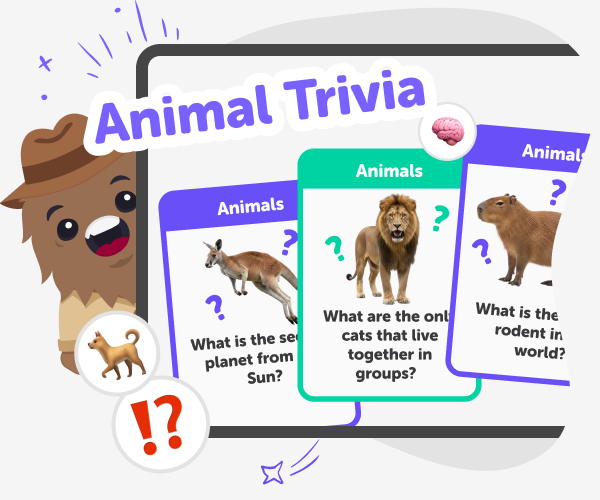 Questions Animal Animal Trivia | DIY.org