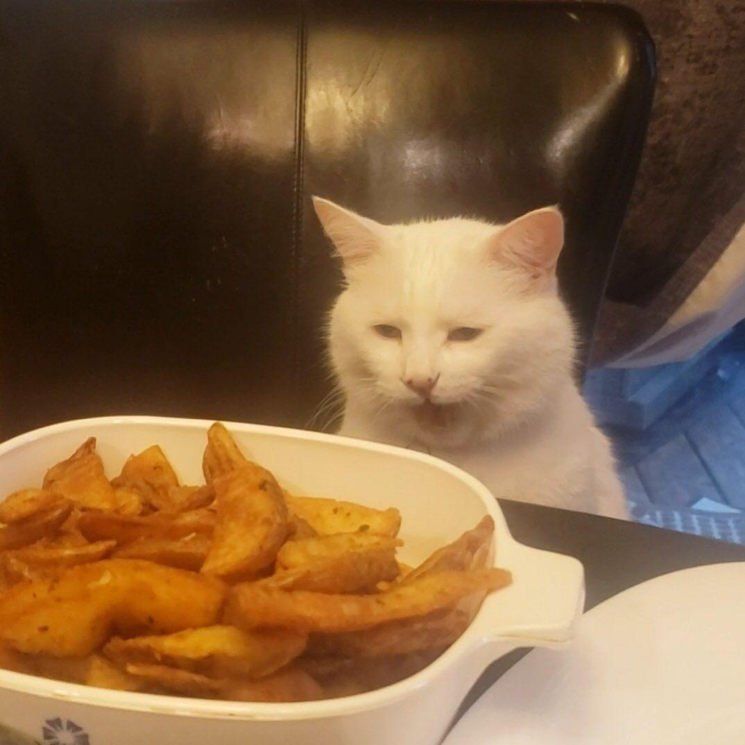Smudge Lord gazing lustfully at a dish of potato wedges