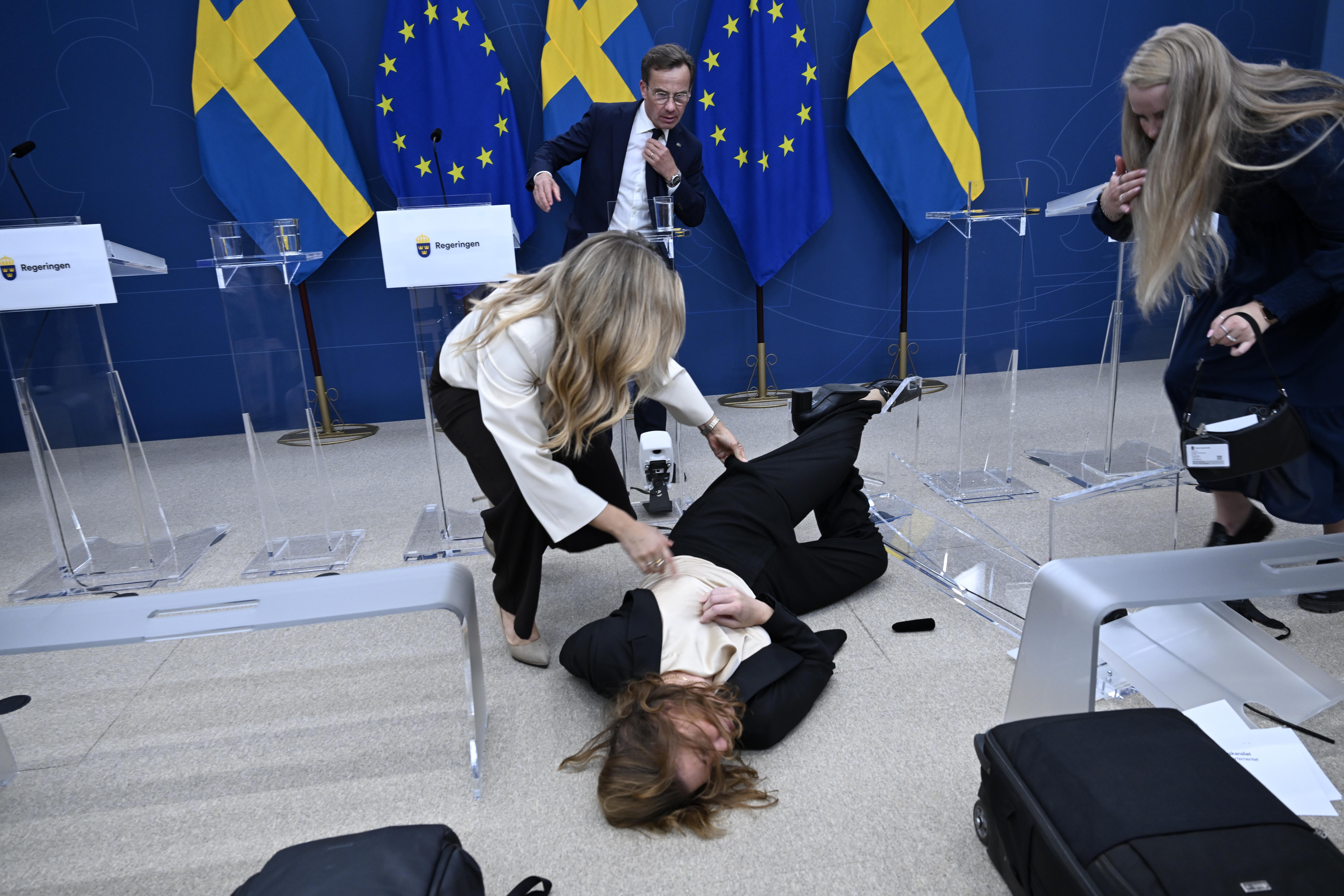 Sweden's new minister of health fainted during a press conference